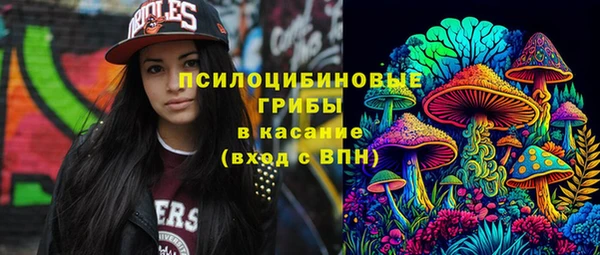 стаф Алексеевка