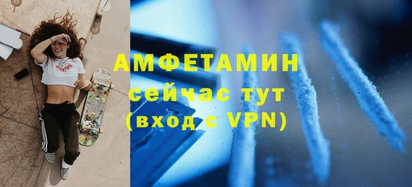 индика Протвино
